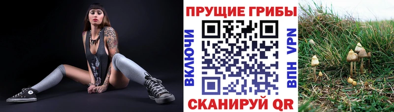 Галлюциногенные грибы мухоморы  купить  цена  kraken маркетплейс  Элиста 
