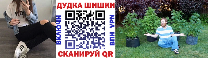 MEGA ссылка  купить наркотики цена  Элиста  Канабис тримм 